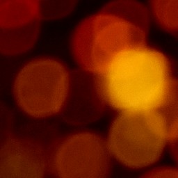 Bokeh-324